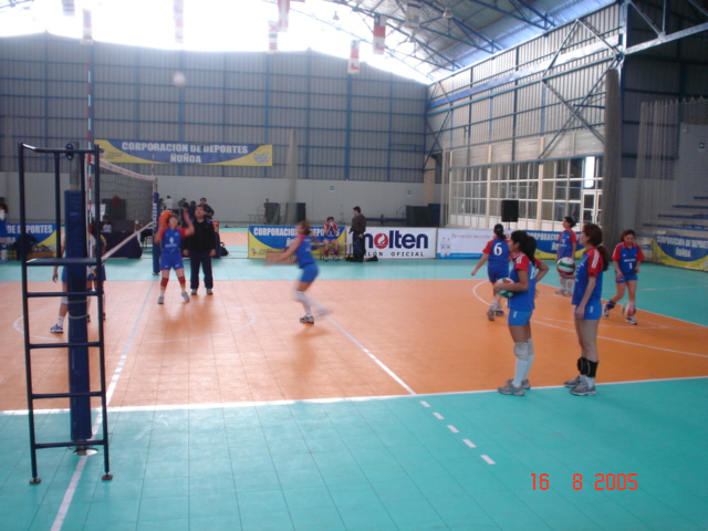 voleibol003.jpg