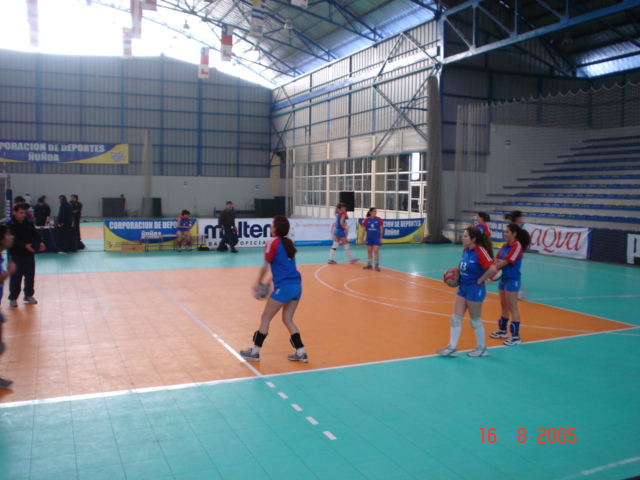 voleibol004.jpg