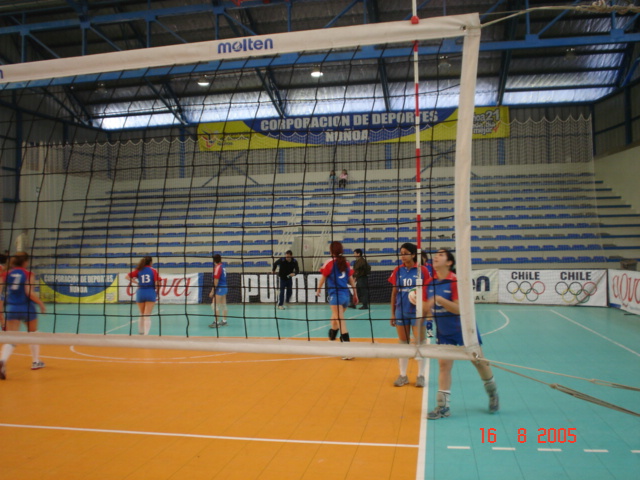 voleibol007.jpg