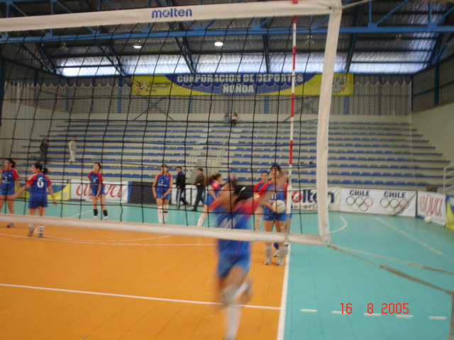 voleibol008.jpg